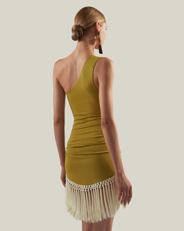 Taller Marmo Yacare Swimsuit In Chartreuse