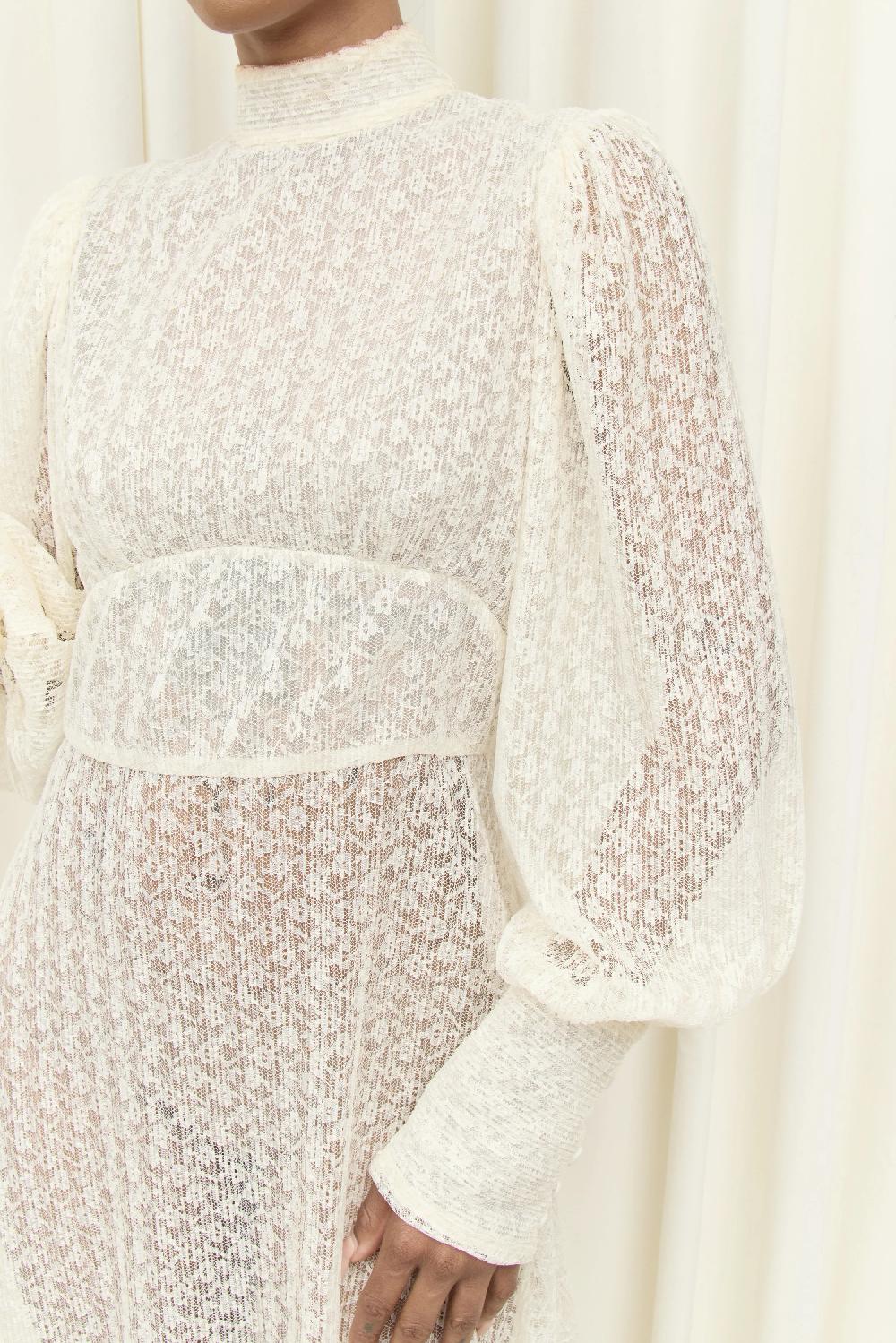 Tanner Fletcher Cordelia Long Sleeve Lace Plisse Gown