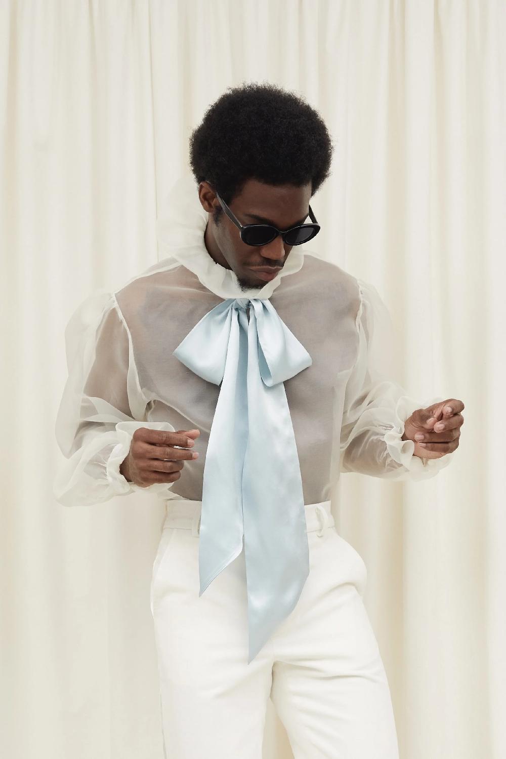 Tanner Fletcher Simone Sheer Organza Pussybow Blouse - Blue Tie