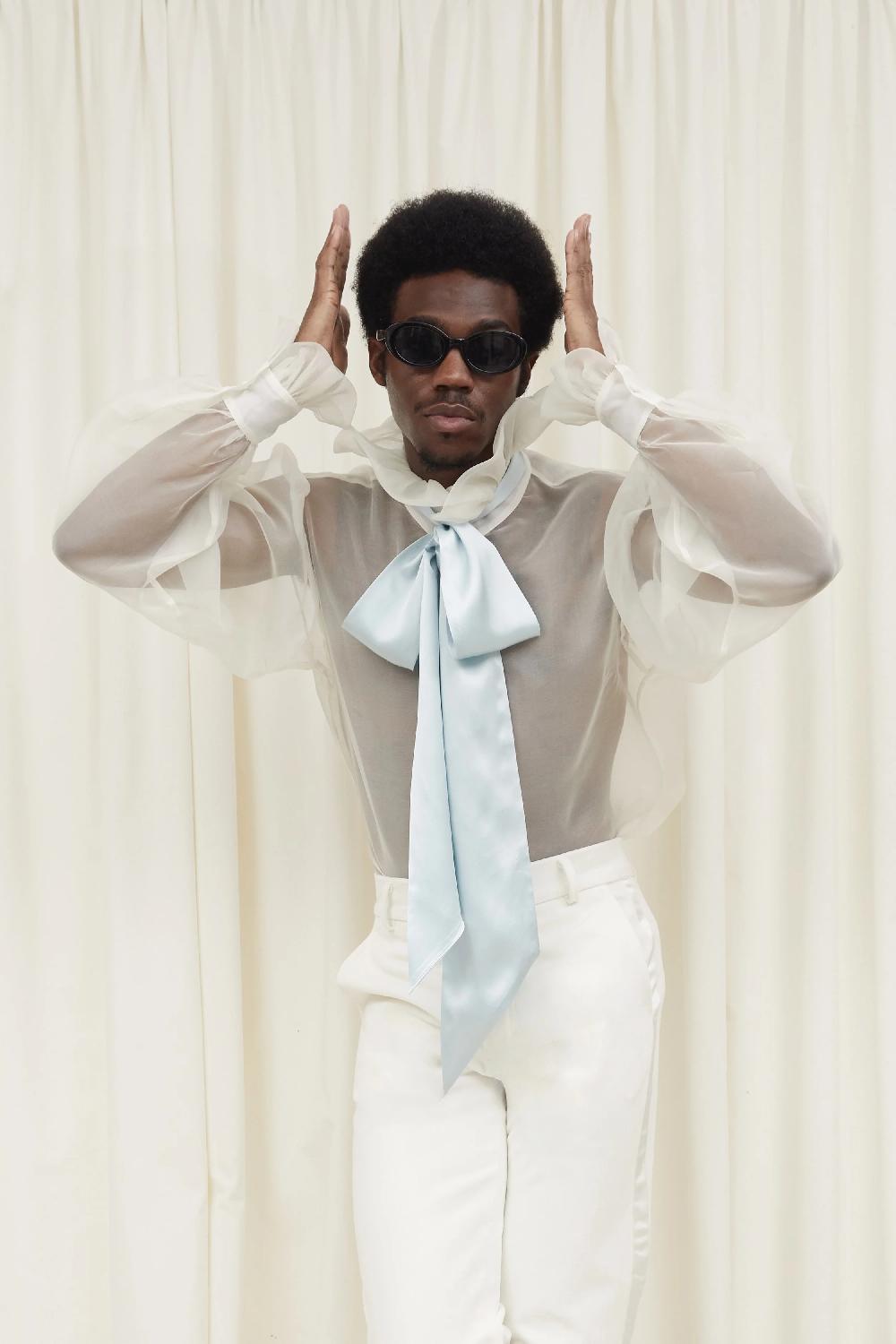 Tanner Fletcher Simone Sheer Organza Pussybow Blouse - Blue Tie