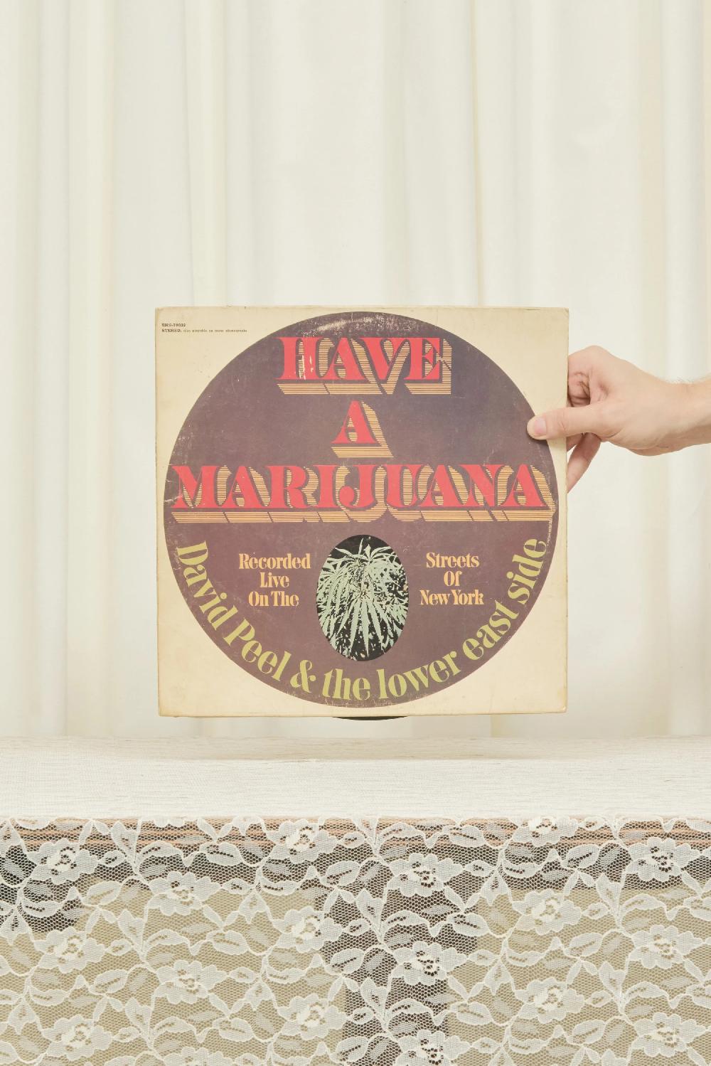 Tanner Fletcher Vintage "Have A Marijuana" Record