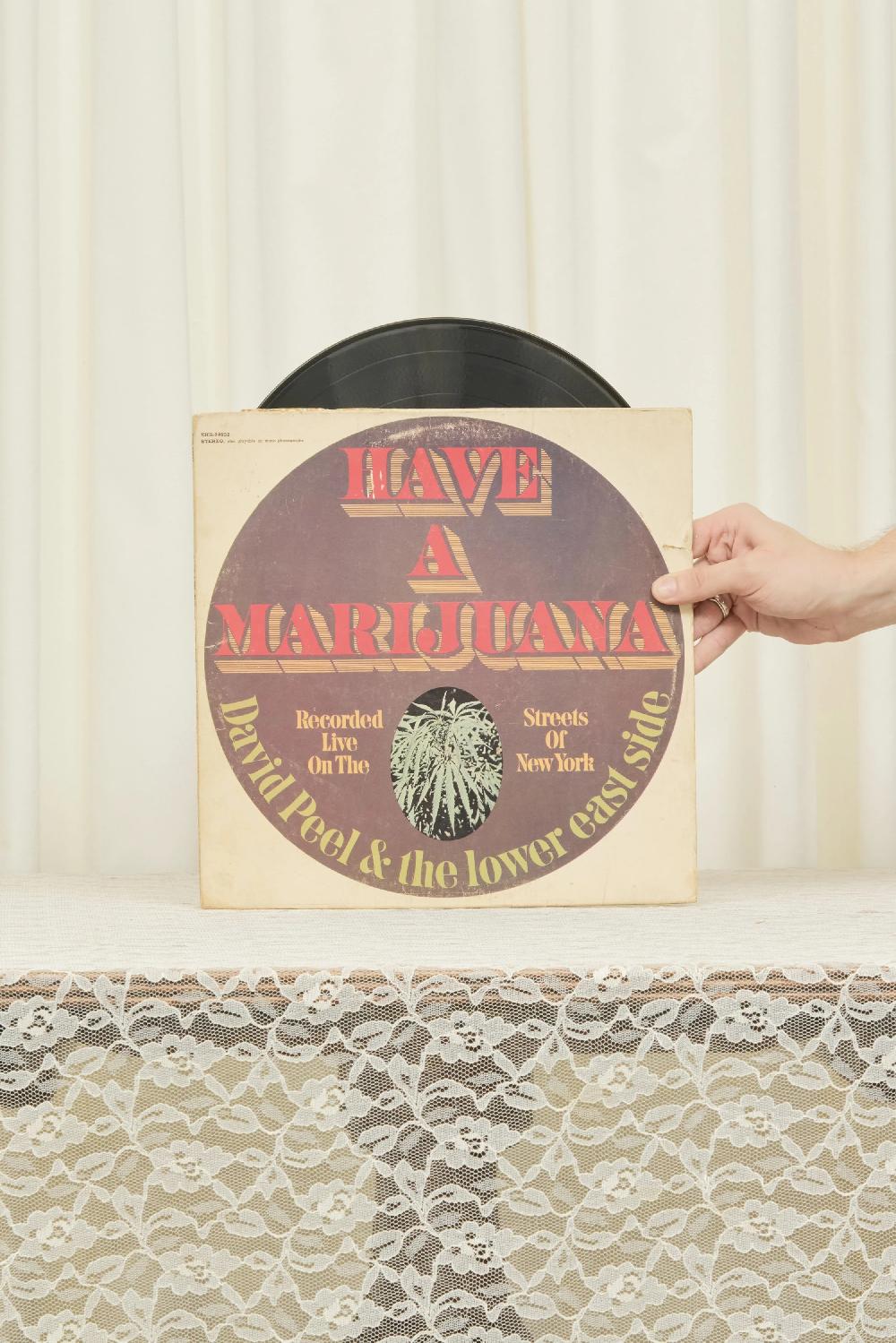 tanner fletcher Vintage "Have a Marijuana" Record
