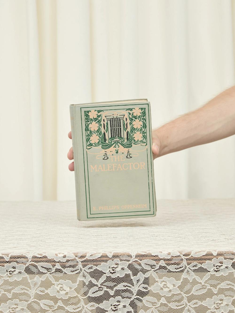 tanner fletcher Vintage The Malefactor Book