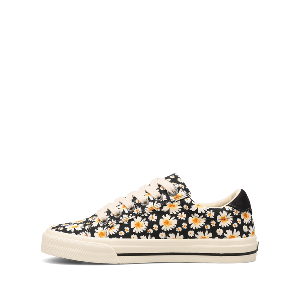 Taos Footwear Z Soul — Black Daisy